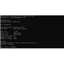 Downgrade Revert PS4 Playstation 4 da firmware 13.02 a 13.00 per Modifica Goldhen